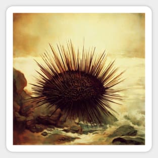 Sea Urchin Sticker